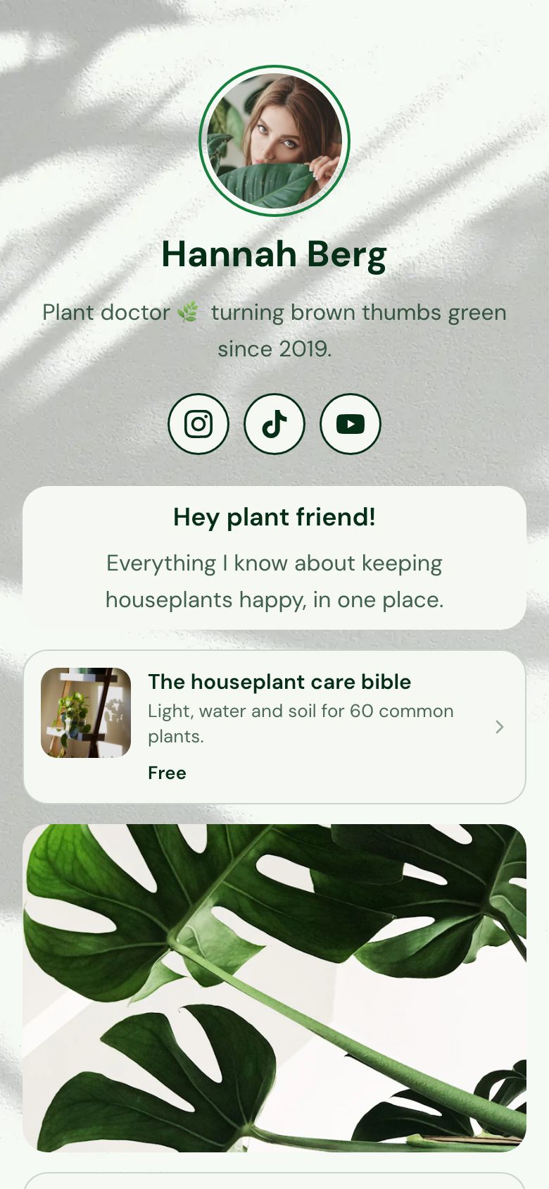 The Forest template on a creator's Zavil page